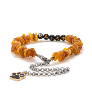 Zgarda din chihlimbar autentic pentru câini din rasa Ciobănesc German – model personalizat cu nume, cu mărgele de chihlimbar neșlefuit și element decorativ în formă de lăbuță. Ideală pentru protecție naturală împotriva insectelor.