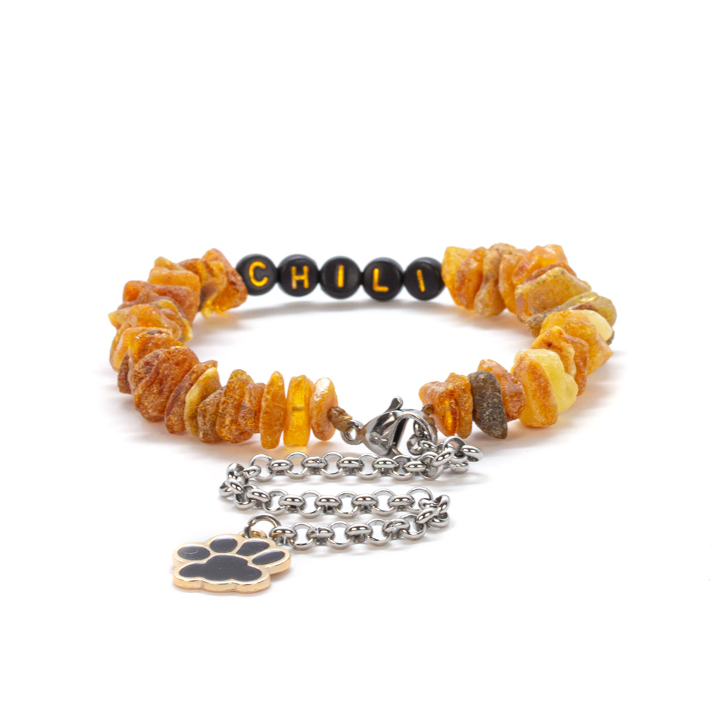 Accesoriu din chihlimbar natural pentru protecția împotriva puricilor și căpușelor, cu nume personalizat și lanț ajustabil – model CHILI, ideal pentru câini de talie mică și medie