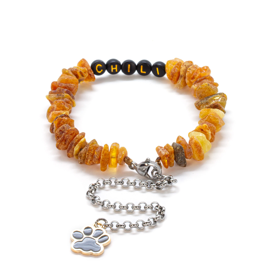 Zgardă personalizabilă pentru animale de companie, realizată din chihlimbar baltic brut și accesorii metalice – design cu mărgele CHILI și pandantiv în formă de lăbuță